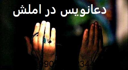 دعانویس در املش