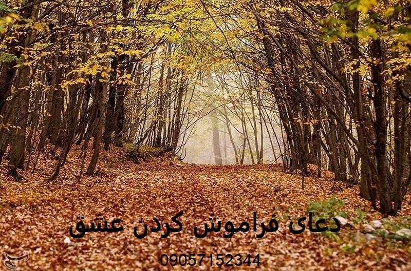 دعای دفع محبت و فراموشی عشق