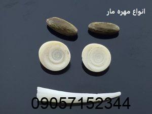 دعای مهره مار برای جذب معشوق - طلسم مهره مار