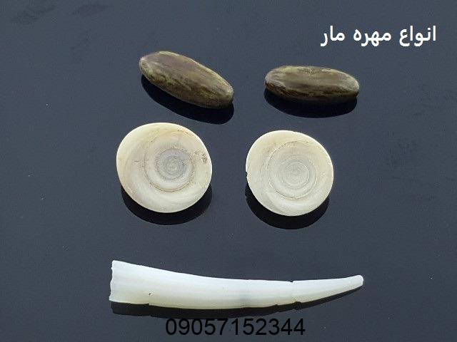 دعای مهره مار برای جذب معشوق - طلسم مهره مار