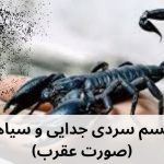 طلسم عقرب سیاه - طلسم سیاه بختی طلسم عقرب سیاه - طلسم سیاه بختی