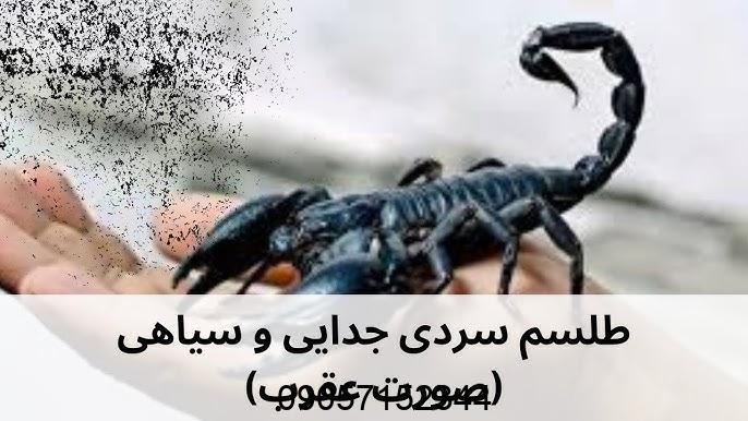 طلسم عقرب سیاه - طلسم سیاه بختی