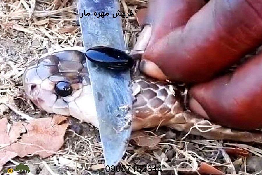 دعای مهره مار برای جذب معشوق - طلسم مهره مار